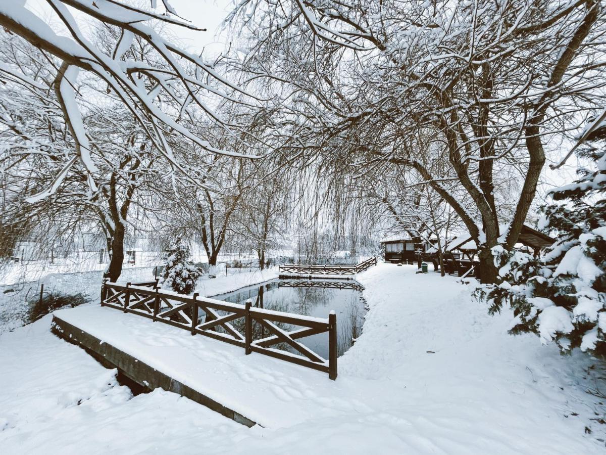 Pension Elegance Гура-Гуморулуй Экстерьер фото